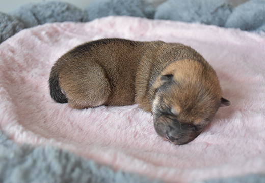 九游老哥J9俱乐部官网 - J9俱乐部老哥互换社区