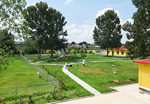 九游老哥J9俱乐部官网 - J9俱乐部老哥互换社区