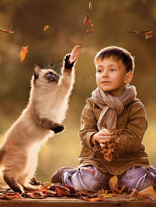 九游老哥J9俱乐部官网 - J9俱乐部老哥互换社区