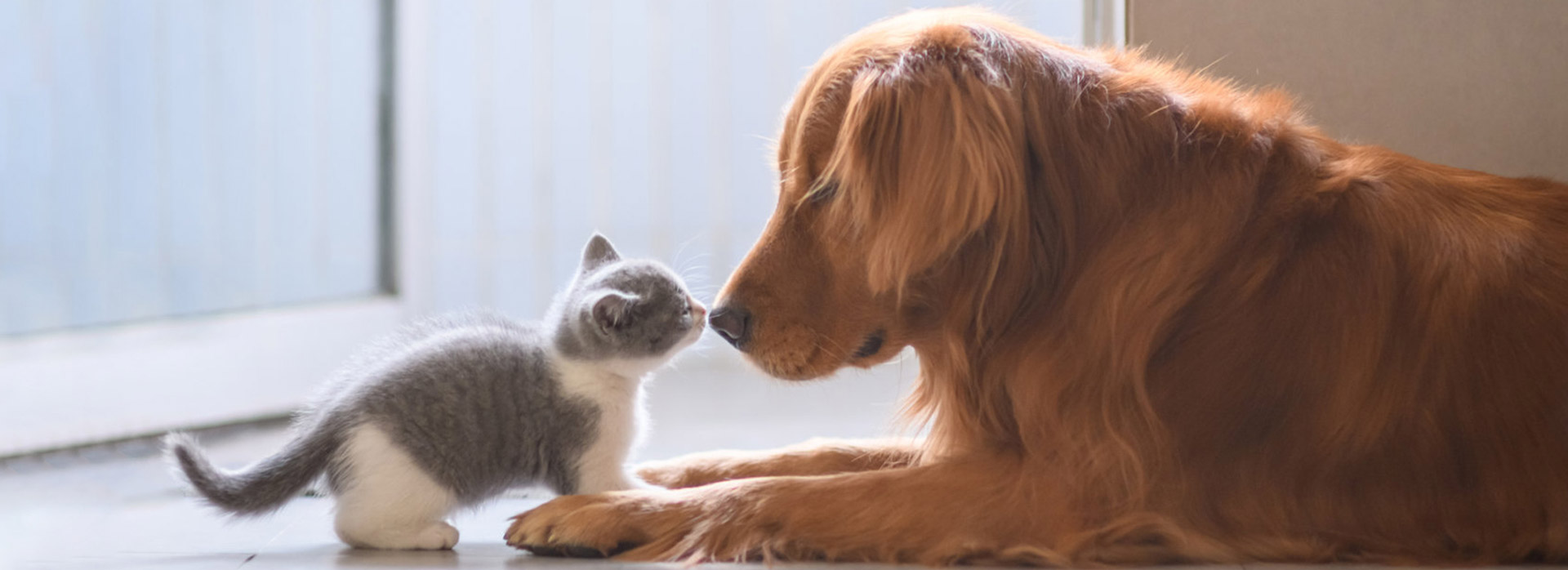 九游老哥J9俱乐部官网 - J9俱乐部老哥互换社区