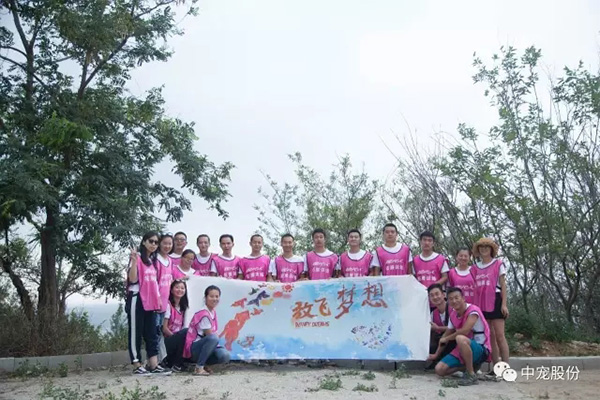 ea47b92c95c44bbf99064b8d309cc317