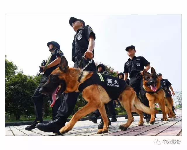 f115f42b132d40348b2165bead87774a