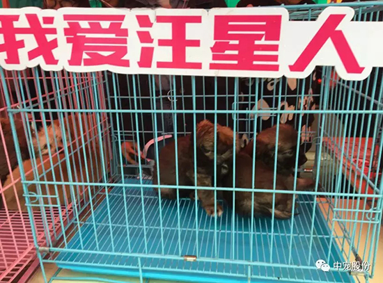 73d390c0dc35434fb0bfc3082611b53e