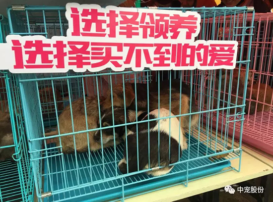 dab27bdb3d474f79b51c3094798f04e8