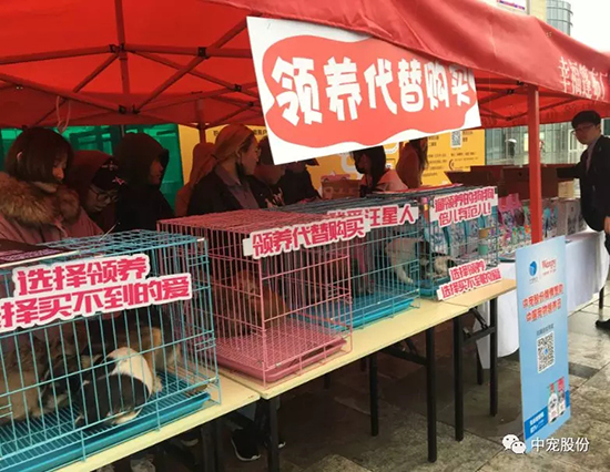 dd5ae9e4473b4807b028de4b899780ce