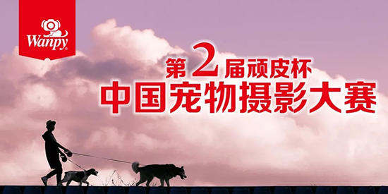 fd08d2d1a9de48c2a1e6e3dbd785014b