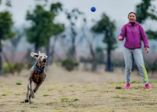 18f81683e3b3498c9cfc1215da3276fd