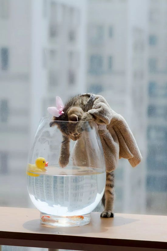 35756d3ca14f408983943a99d50ba018