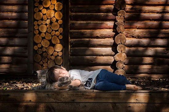 76f8f814da8742438dc4d6b7c551ebbe