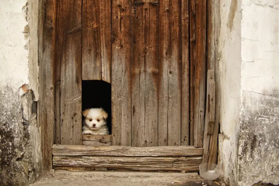 85808076c9a44a359698a7cc0856af84