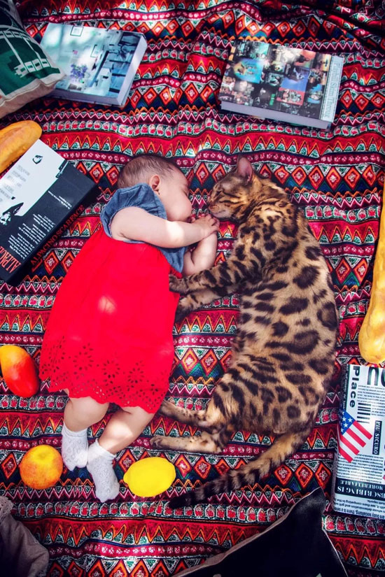 868f644bcec8484382985c24e092a2a8