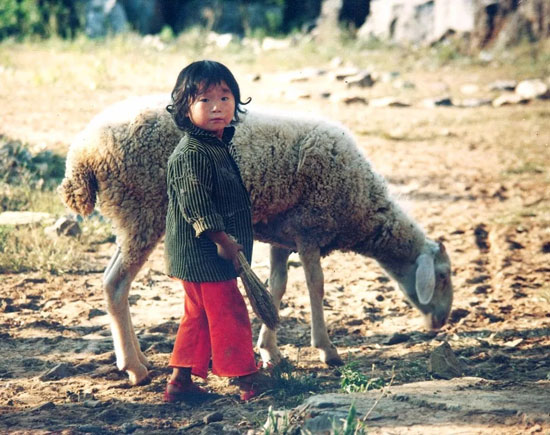 bbcd09b928c042aa8d05f081527e8dc7