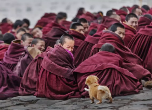 2b4f381789fe4b1db9a3b855dca9fc38