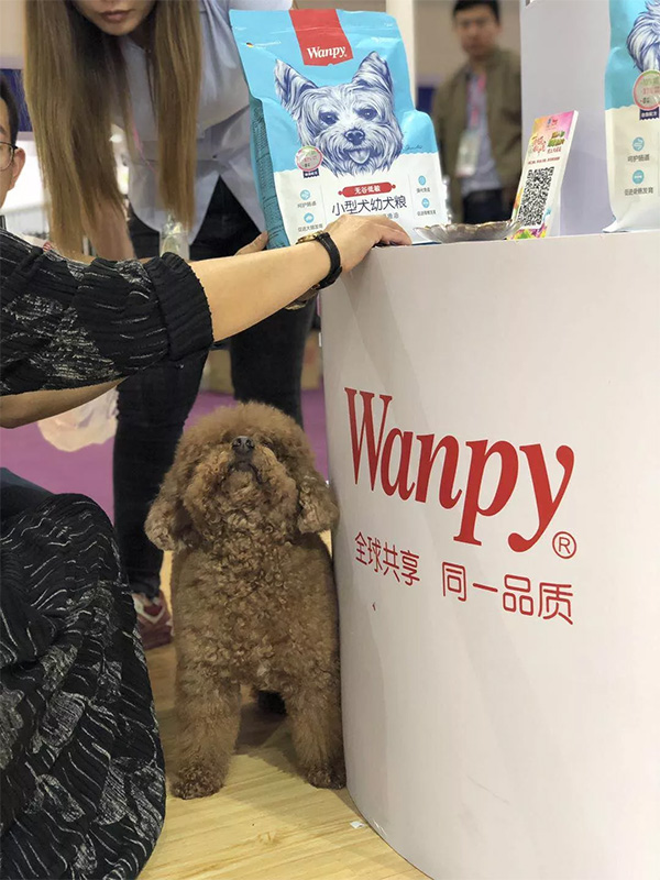 333bab75c4664cc089c0436fcf16bed1