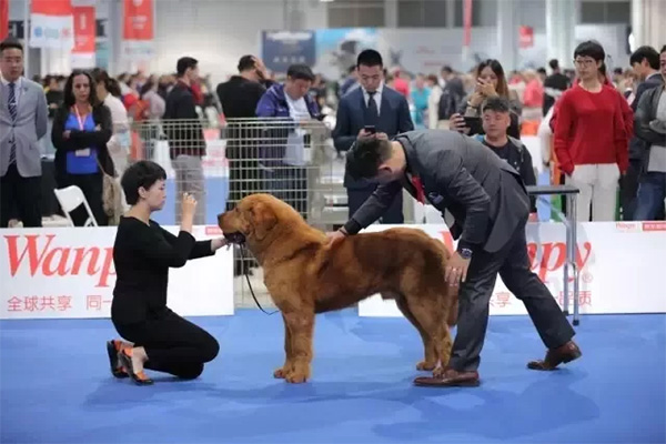 d103cdd420184f6cafa2593094bb5b07