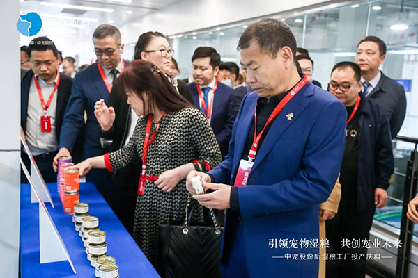 ee07254cd0464e81967e14d6d4afcd21