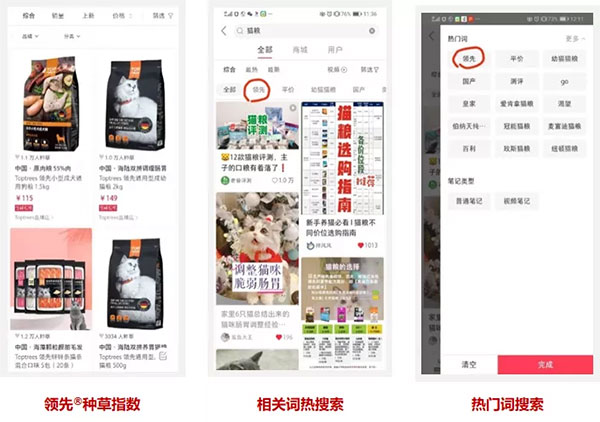 2c14805e568f446a994f385f477f44fc