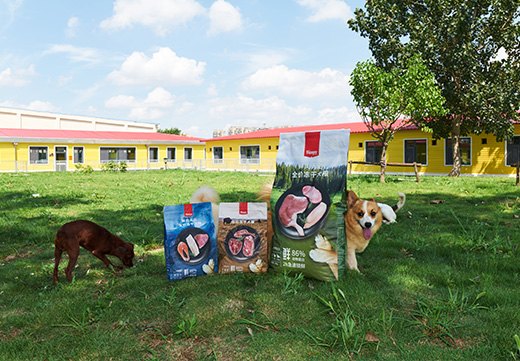 九游老哥J9俱乐部官网 - J9俱乐部老哥互换社区