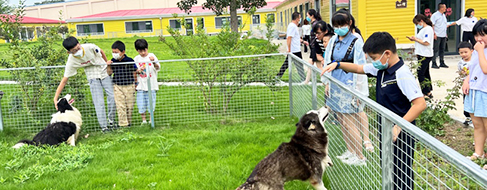 九游老哥J9俱乐部官网 - J9俱乐部老哥互换社区