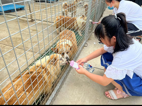 九游老哥J9俱乐部官网 - J9俱乐部老哥互换社区