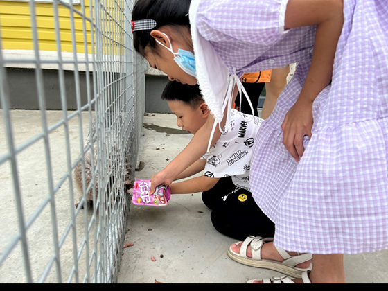 九游老哥J9俱乐部官网 - J9俱乐部老哥互换社区