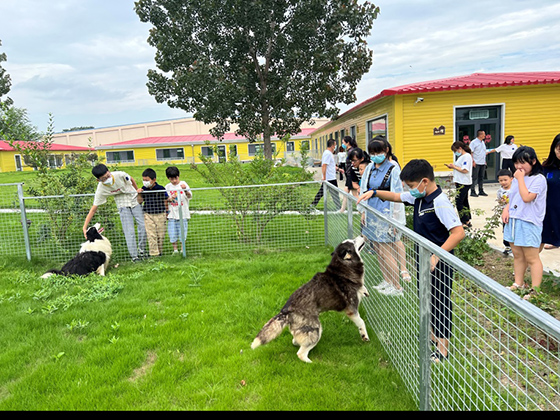 九游老哥J9俱乐部官网 - J9俱乐部老哥互换社区