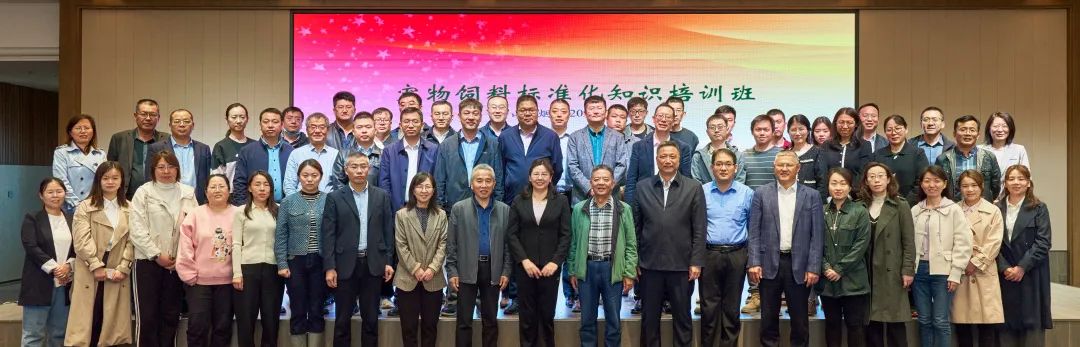 50b490c397294a0eaedb371aa350ed1c