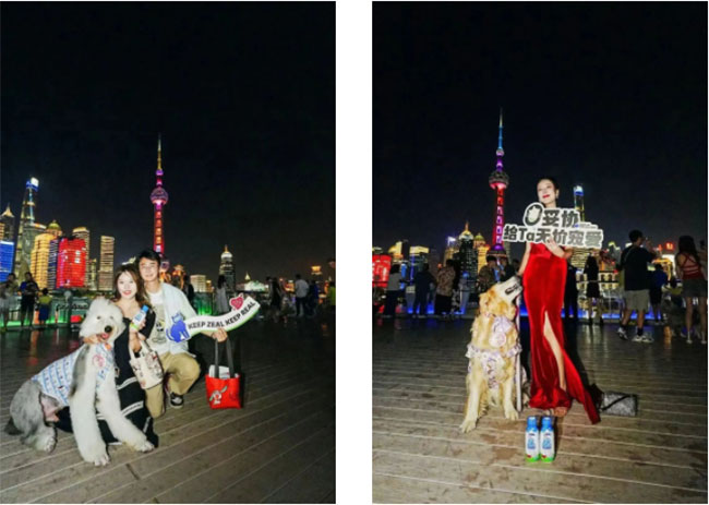 3fd1bfe258d04edb80affa208755f0fa