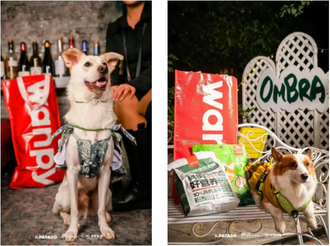 5bdb2218b4e343368e8bbbea229b85df