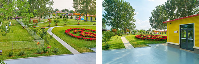 1202a5f05b1841dfb35e7571337fbebc