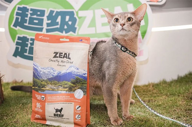 eeb6db1544124dc2a122f0b0feea2859