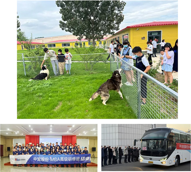 a81c8a42595149b78687a628322f1395